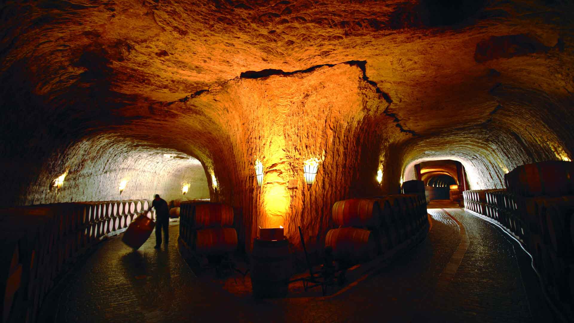 Viñedos de Páganos - Calados del Puntido